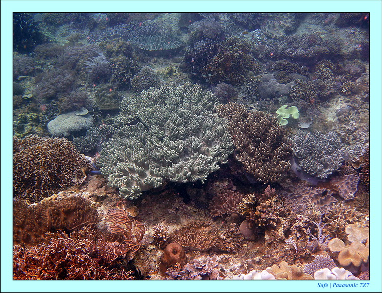 2012 - 07 - Boracay plongee - 06